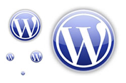 wordpress4