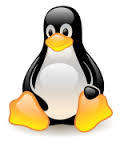 linuxchar1